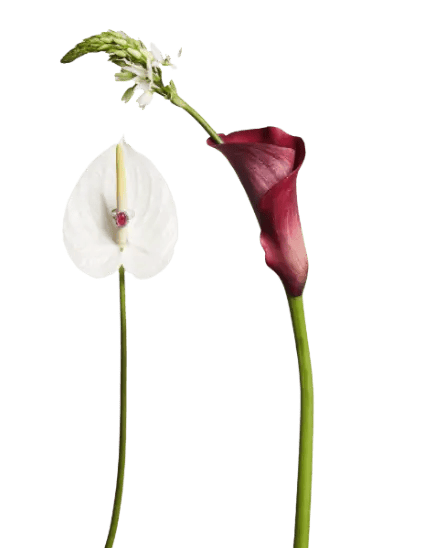 FACETS-flower